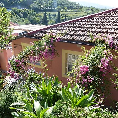 Belvedere Lodge เคียวารี ภายนอก รูปภาพ