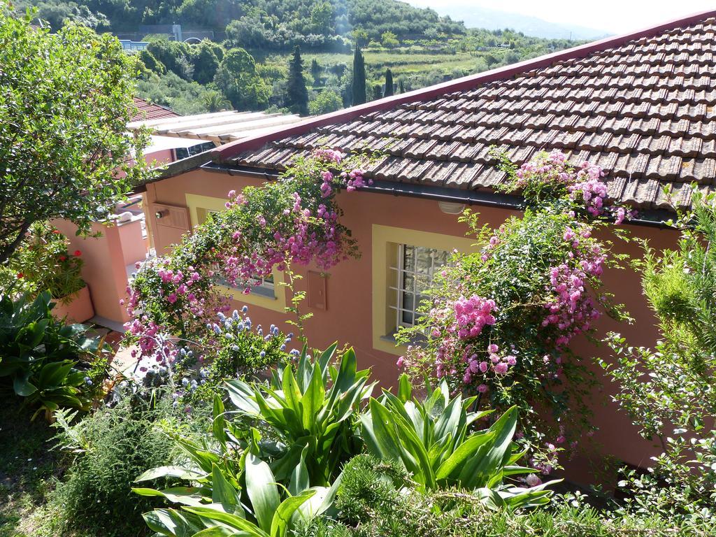 Belvedere Lodge เคียวารี ภายนอก รูปภาพ